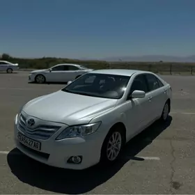 Toyota Camry 2010