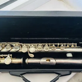 Fleyta, gitara