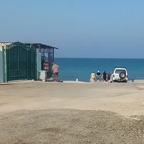 Guwlymayakda kreyne daca