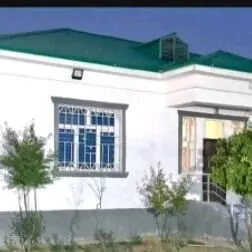 Tàze zaman 2 nji tapgyr D G ️