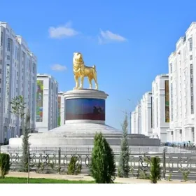 16 Этап дом