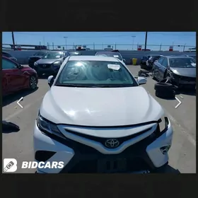 Toyota Camry 2019