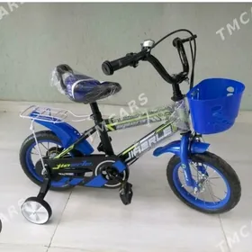 Çaga Tigir  12 lik