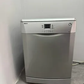 Pasuda moysiy