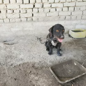 it