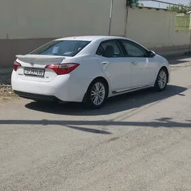 Toyota Corolla 2014
