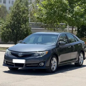 Toyota Camry 2013