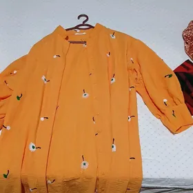 Койнек
