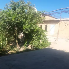 satlyk jaý