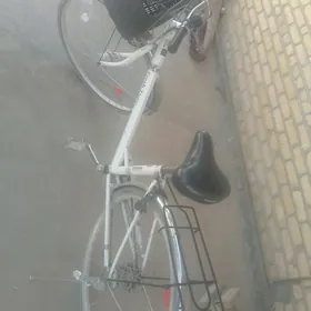 Welsopet