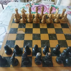 шахматы