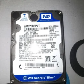 Zoski 320gb WD
