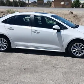 Toyota Corolla 2020