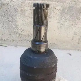 OPEL  granat damkyrant