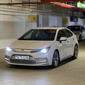 Toyota Corolla 2020
