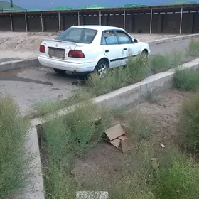 Toyota Corolla 1995