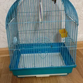 Клетка