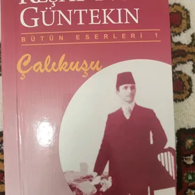 Kitap Çalikuşu