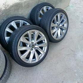 21 carolla disge pakryska 18