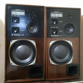 kalonka s90