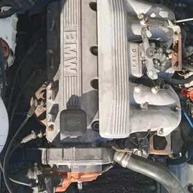 BMW mator