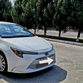 Toyota Corolla 2020