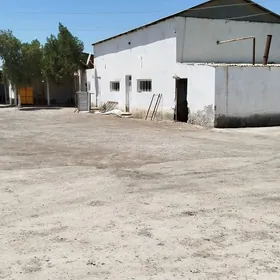 Онумчилик сехи