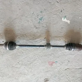 gyranat karolla