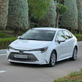 Toyota Corolla 2020