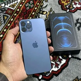12 Pro 84256gb