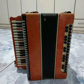 Akkordeon