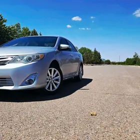 Toyota Camry 2013