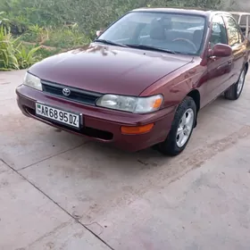 Toyota Corolla 1995