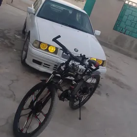 tigir BMW