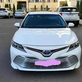 Toyota Camry 2019