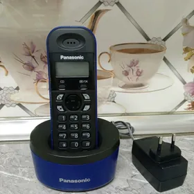 Panasonic