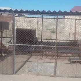 Yatak Ketek
