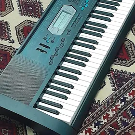 Ritim Casio 2100 blok