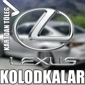 КОЛОДКИ LEXUS KOLODKA KALODKA