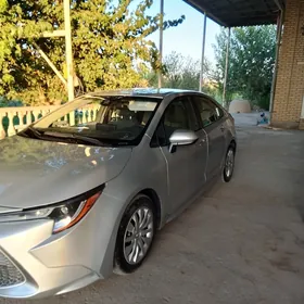 Toyota Corolla 2021