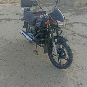 Fekon FK150-8G 2015