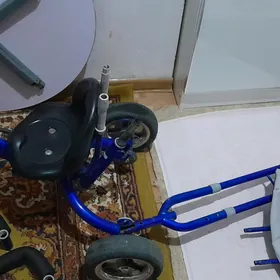 çaga tigiri