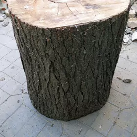 Et çapgy agaç
