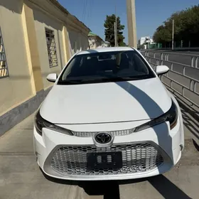 Toyota Corolla 2021