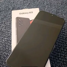 a13