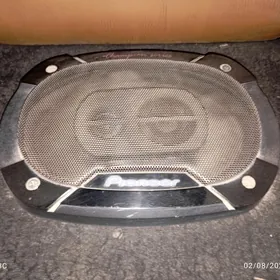 Pioneer