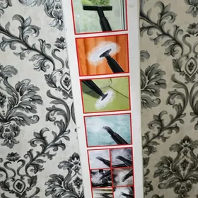 пароочиститель