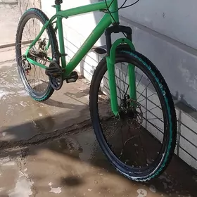 Turkmenistan welik