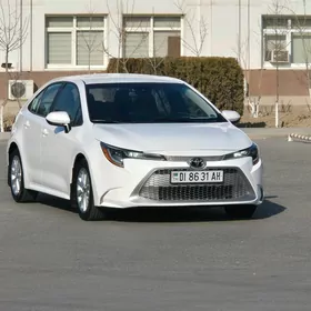Fara 2020 corollo