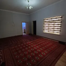 Taze Gokje plan План ️